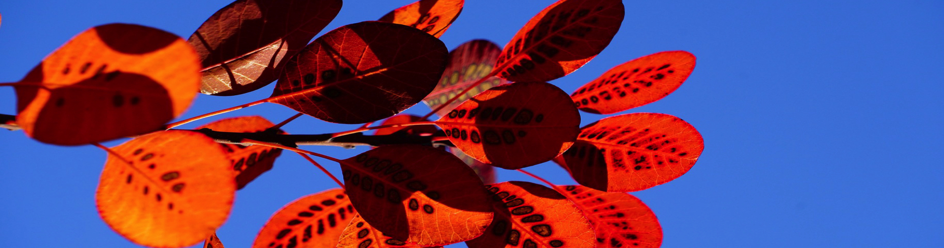 Rekencoördinatoren werken samen!